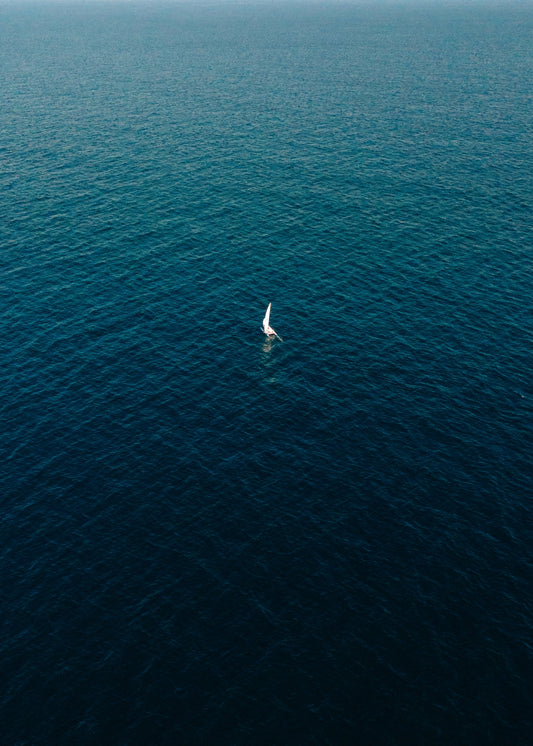 Into the Blue