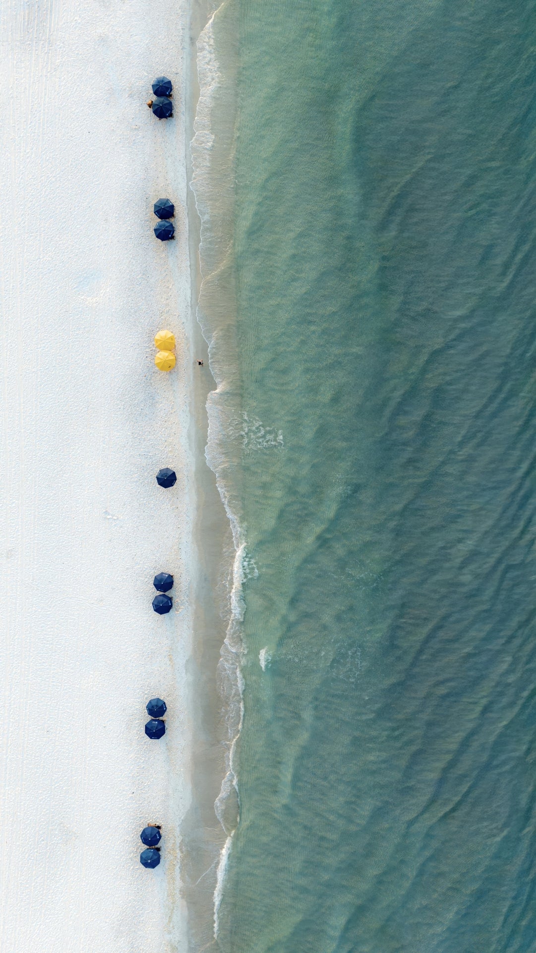 The Line Up